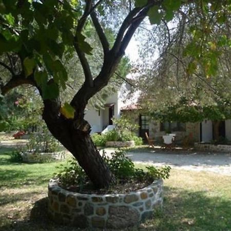 Traditionelles Appartement Athos Shadow Am Meer Paralia Sikias Eksteriør bilde