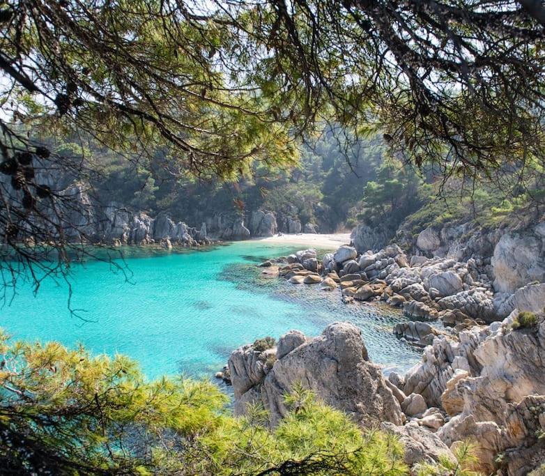 Traditionelles Appartement Athos Shadow Am Meer Paralia Sikias Eksteriør bilde