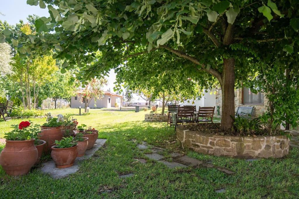Traditionelles Appartement Athos Shadow Am Meer Paralia Sikias Eksteriør bilde