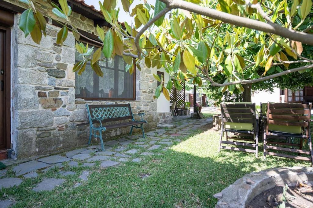 Traditionelles Appartement Athos Shadow Am Meer Paralia Sikias Eksteriør bilde