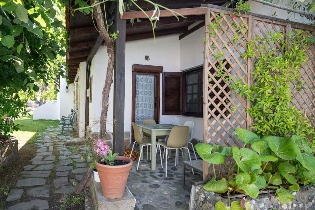 Traditionelles Appartement Athos Shadow Am Meer Paralia Sikias Eksteriør bilde