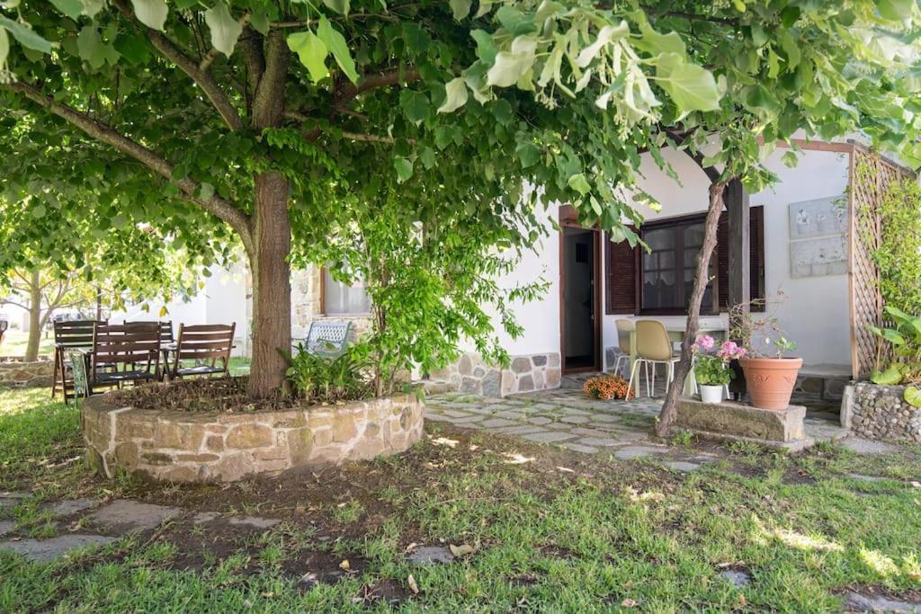 Traditionelles Appartement Athos Shadow Am Meer Paralia Sikias Eksteriør bilde