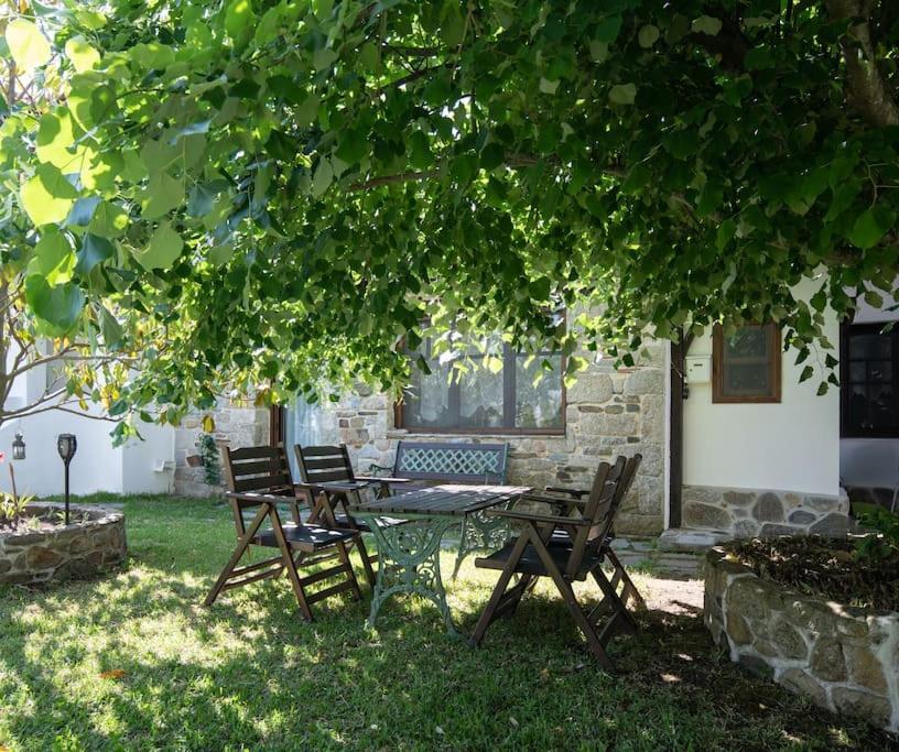 Traditionelles Appartement Athos Shadow Am Meer Paralia Sikias Eksteriør bilde