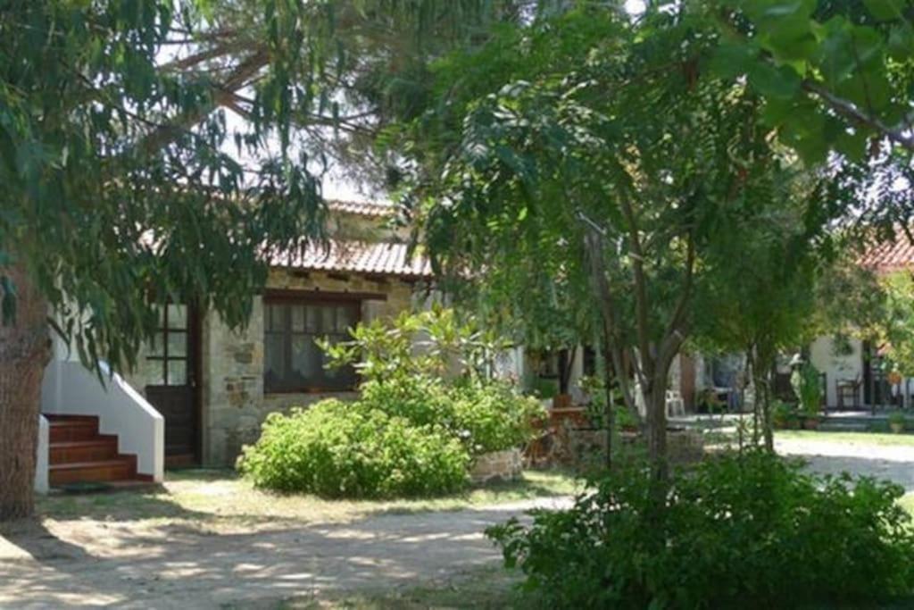 Traditionelles Appartement Athos Shadow Am Meer Paralia Sikias Eksteriør bilde