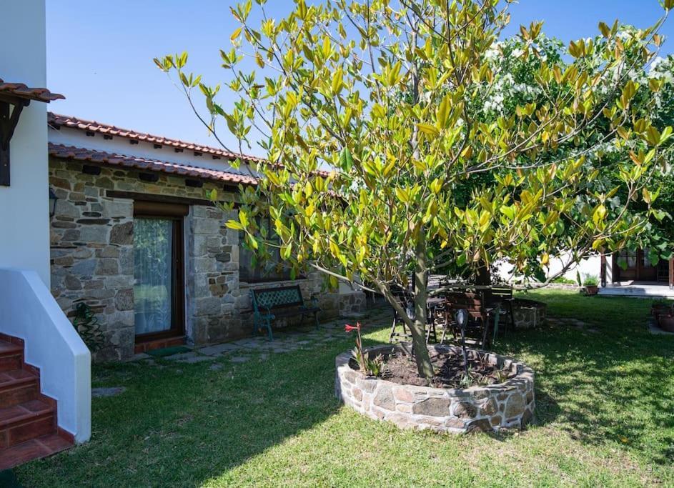 Traditionelles Appartement Athos Shadow Am Meer Paralia Sikias Eksteriør bilde