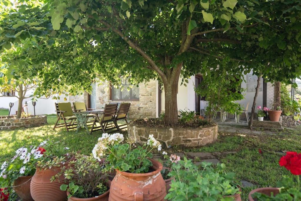 Traditionelles Appartement Athos Shadow Am Meer Paralia Sikias Eksteriør bilde