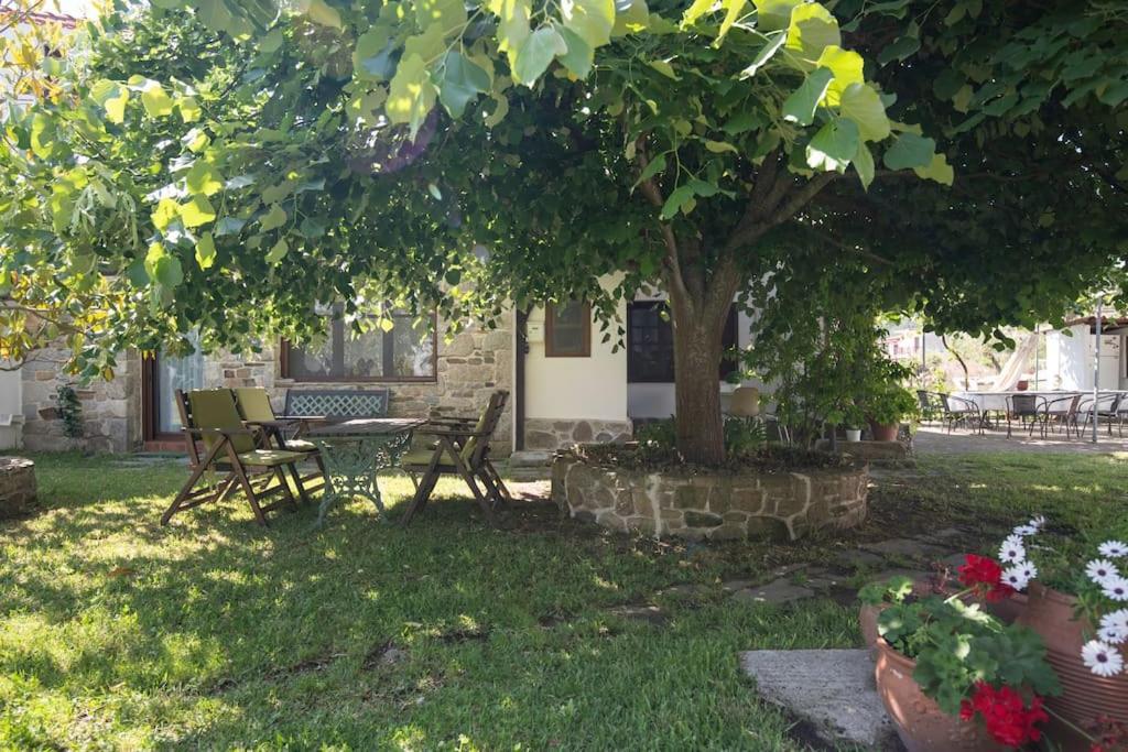 Traditionelles Appartement Athos Shadow Am Meer Paralia Sikias Eksteriør bilde
