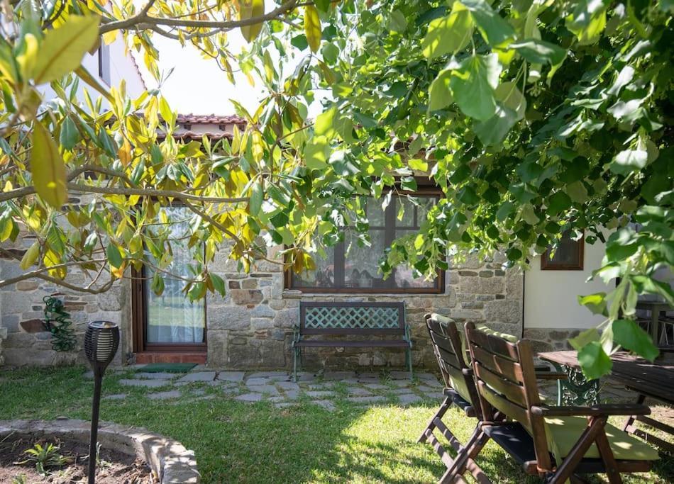 Traditionelles Appartement Athos Shadow Am Meer Paralia Sikias Eksteriør bilde